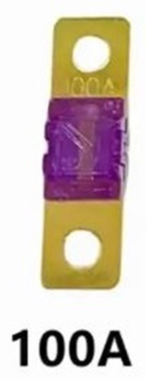 100 x 100A MIDI Fuses ANS 100Amp Fuses 41mm x 12mm 4wd Caravan Fuses 100pcs