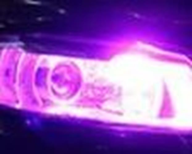 50 x Purple/Pink T10 LEDs Dome Gel COB Ideal Parker Dome and Dash Lights (50pcs)