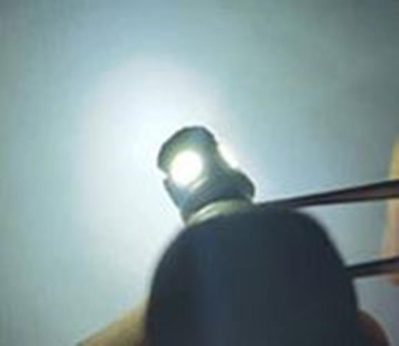 100 x Cool White 12v BA9S 5x5050smd 150lm Cool White Bulk Buy (100pcs)