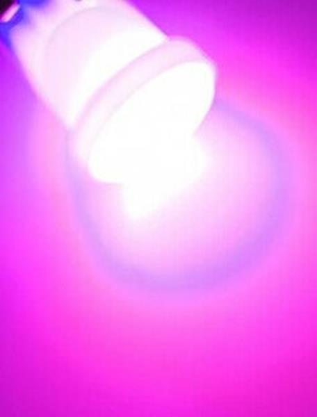 10 x T10 Pink Purple 12v LED Cob Flat Face Super Bright for Dash Cluster (10pcs)