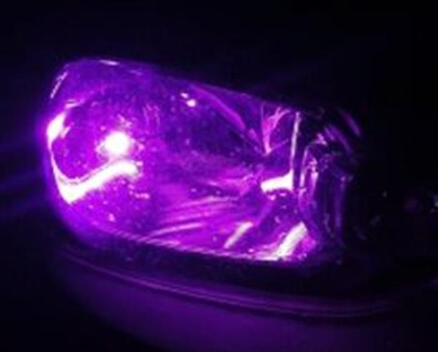 10 x T10 Pink Purple 12v LED Cob Flat Face Super Bright for Dash Cluster (10pcs)