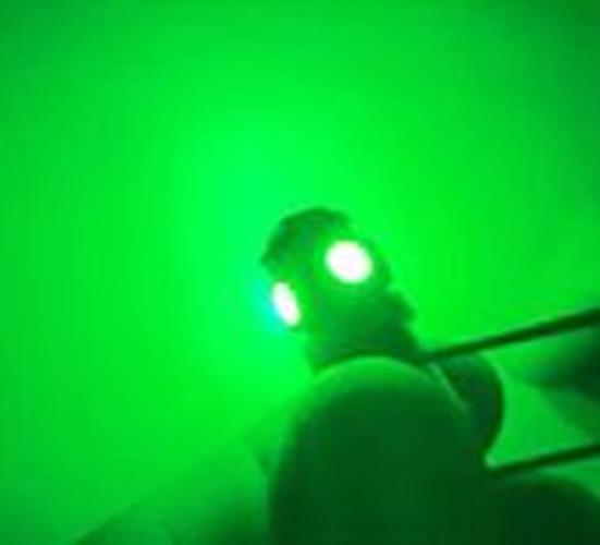 100 x Green 12v BA9S 5x5050smd 150lm Green Bulk Buy (100pcs)