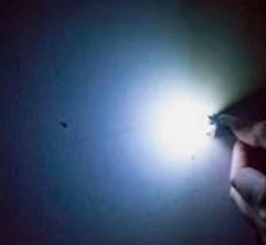 10 x T10 Cool White 12v LED Cob Flat Face Super Bright for Dash Cluster (10pcs)