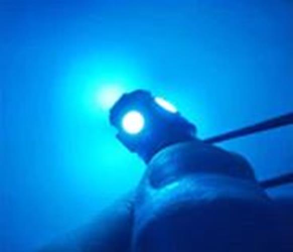 100 x Ice Blue 12v BA9S 5x5050smd 150lm Ice Blue Bulk Buy (100pcs)