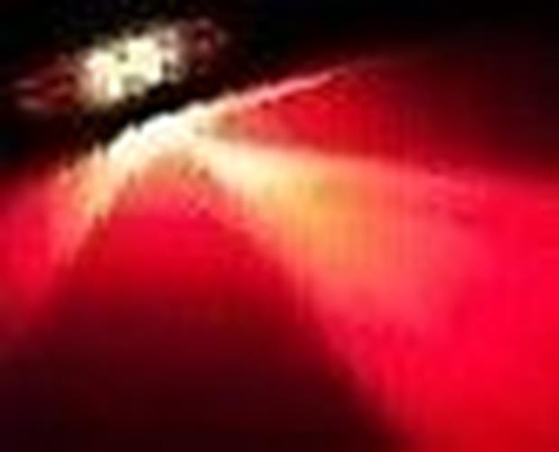2 X 12V 31mm 4 LED RED FESTOON GLOBES 16 LUMENS IDEAL FOR INTERIOR LIGHTING