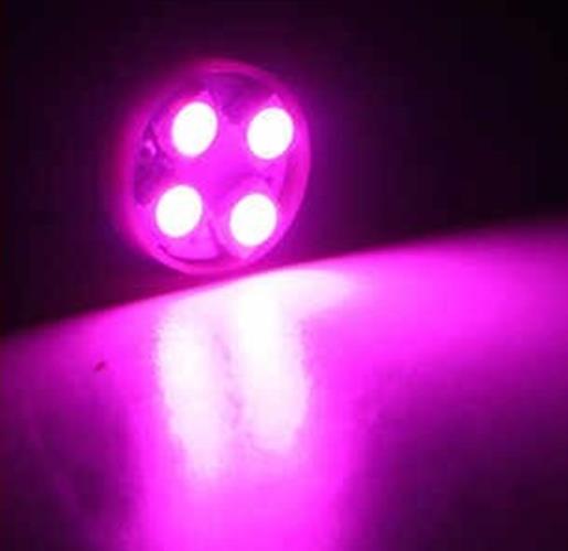 2PCS PINK/PURPLE 12V BA9S 4SMD LED GLOBE REPLACEMENT 32Lm IDEAL FOR DASH LIGHTS