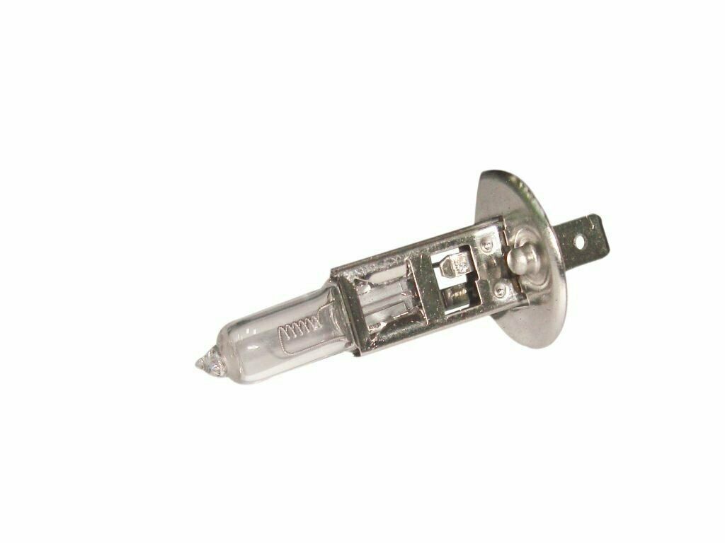 10 x Bulk Pack 12v H1 100w Clear Halogen Globes Bulbs Brighter than 55w