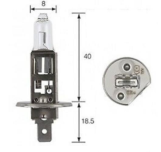 10 x Bulk Pack 12v H1 70w Clear Halogen Globes Bulbs Brighter than 12v H1 55w