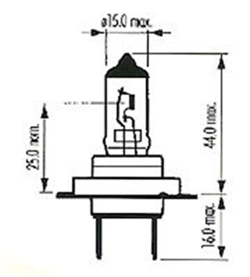 2 x Halogen H7 12V 55w Clear Globes Quality Australian Stock Supplier (Pair)