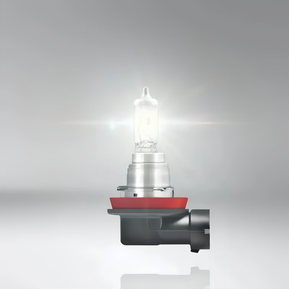 6 x Osram 12V H16 19W Halogen Clear Globes 3200K Original 64219L+ Fog Light