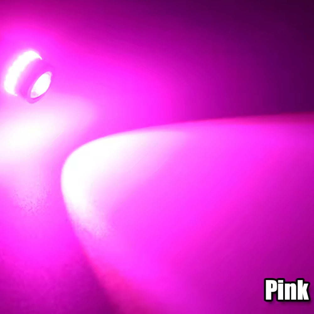 6pcs T10 Pink/Purple 19SMD Canbus LED Bulbs Super Bright 194 W5W T10 LED Globes