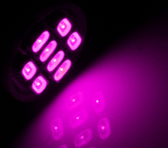 100 x Pink / Purple T10 8SMD 1206 High Brightness LEDs Flat Face 12v (100pcs)