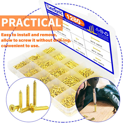 1280pcs M2 Brass Plated Phillips Tips Screw Assortment Kit Self Tapping Screws