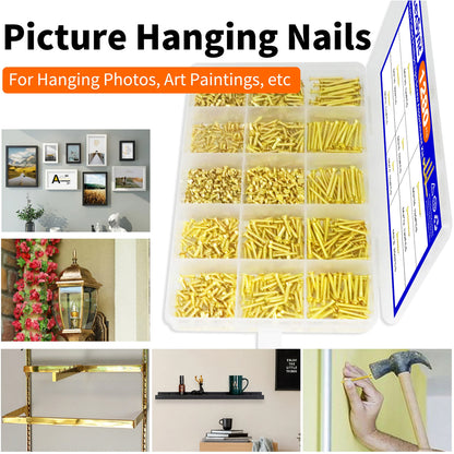 1280pcs M2 Brass Plated Phillips Tips Screw Assortment Kit Self Tapping Screws