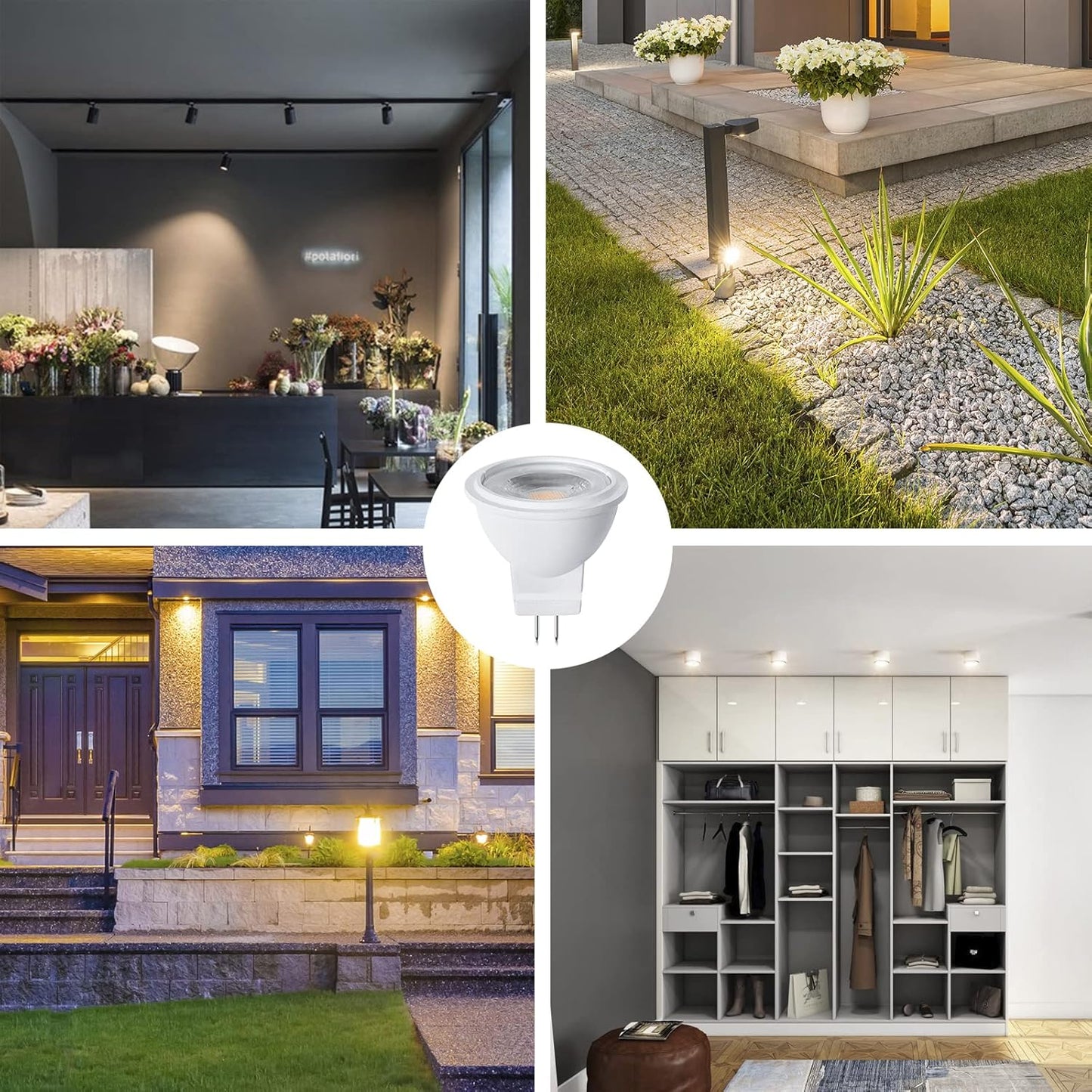 6 x MR11 3W LED Spotlight AC/DC 12V-24V 38 Degree 3000K Warm White Downlight