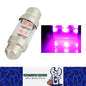 12V 31mm 6 SMD PINK PURPLE LED GLOBE FESTOON 48LM 31MM PINK PURPLE FESTOON