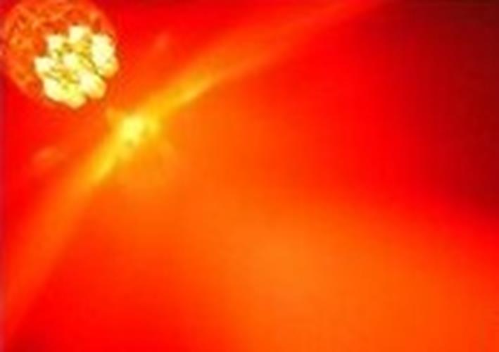 PAIR 12V T15 9 LED RED WEDGE GLOBES ALSO SUITS T10 BASE MOUNT 2PCS
