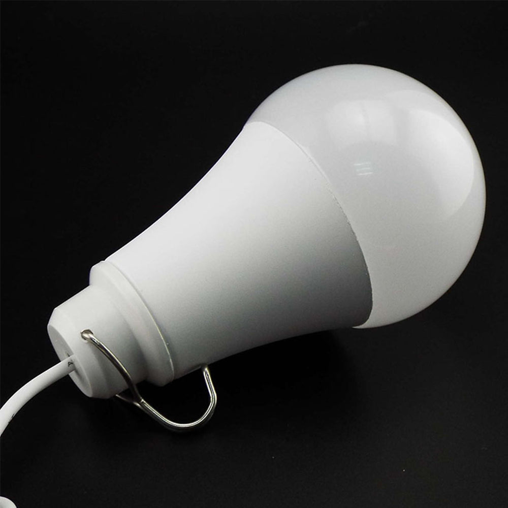 USB 10w Dimmable Light Bulb with Inline Switch with 2 Meter Cable (1pc)