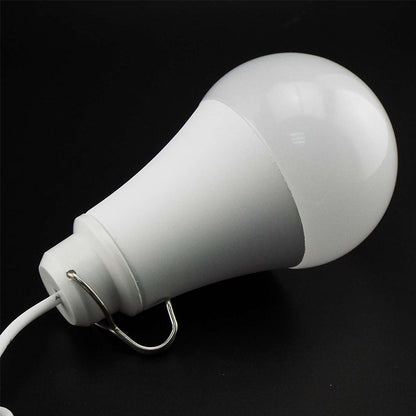 USB 10w Dimmable Light Bulb with Inline Switch with 2 Meter Cable (1pc)